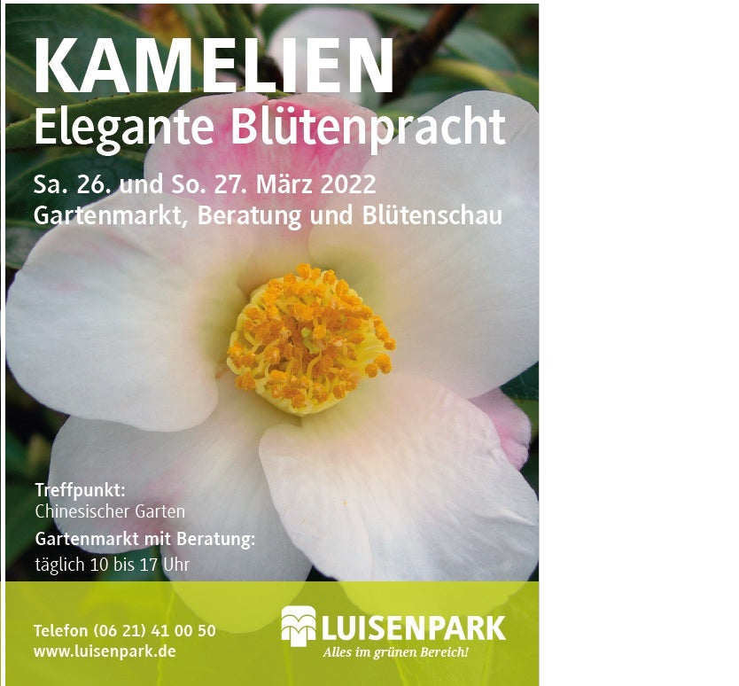 Endlich: Kamelientage in Mannheim am 26. + 27. März 2022