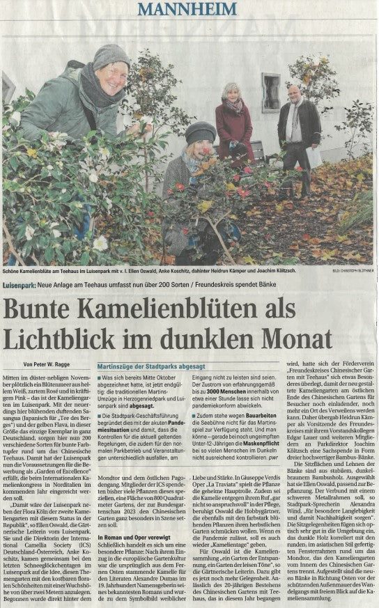 Neues vom Kameliengarten im Luisenpark Mannheim