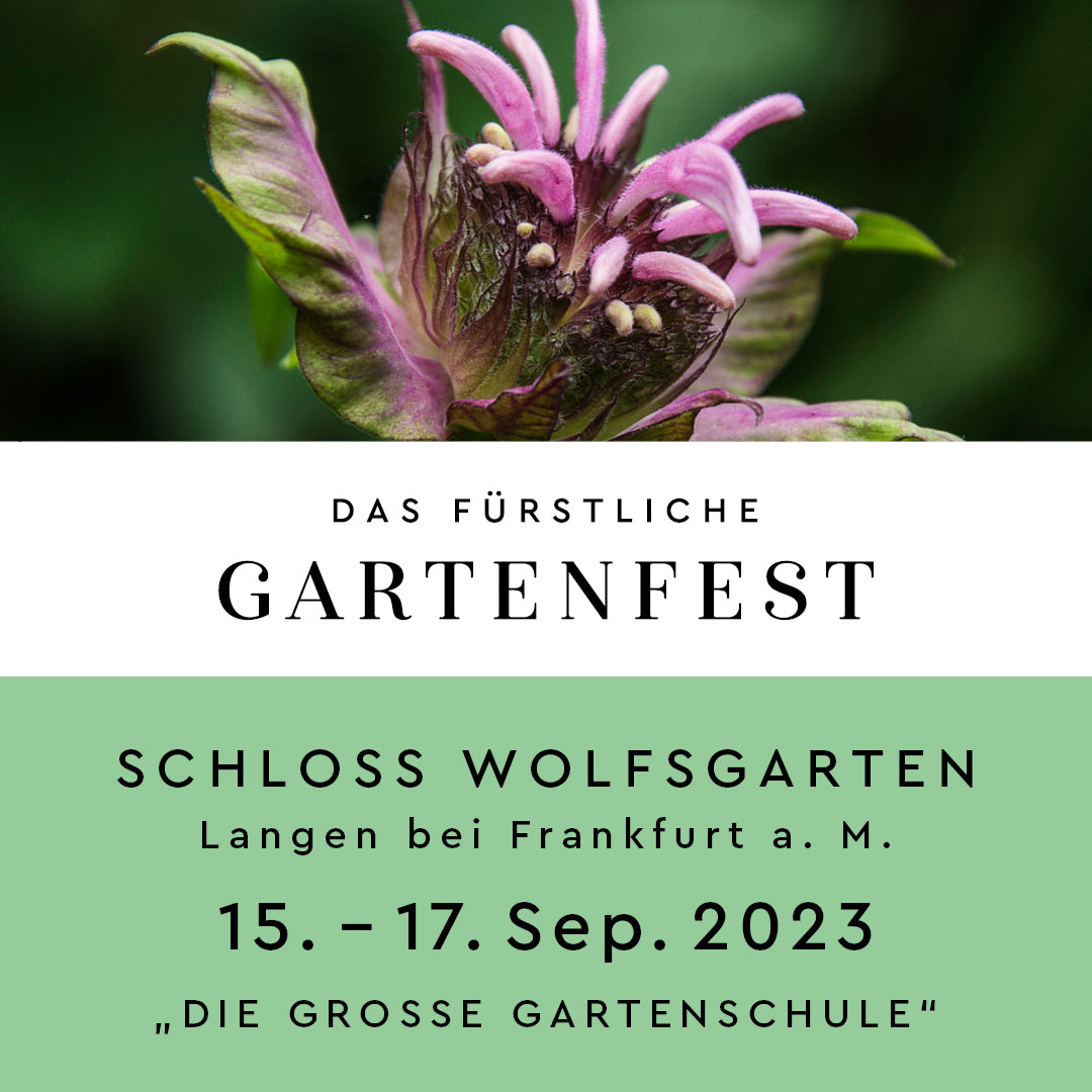 Mein-Kameliengarten.de zu Gast beim Fürstlichen Gartenfest in Wolfsgarten bei Langen