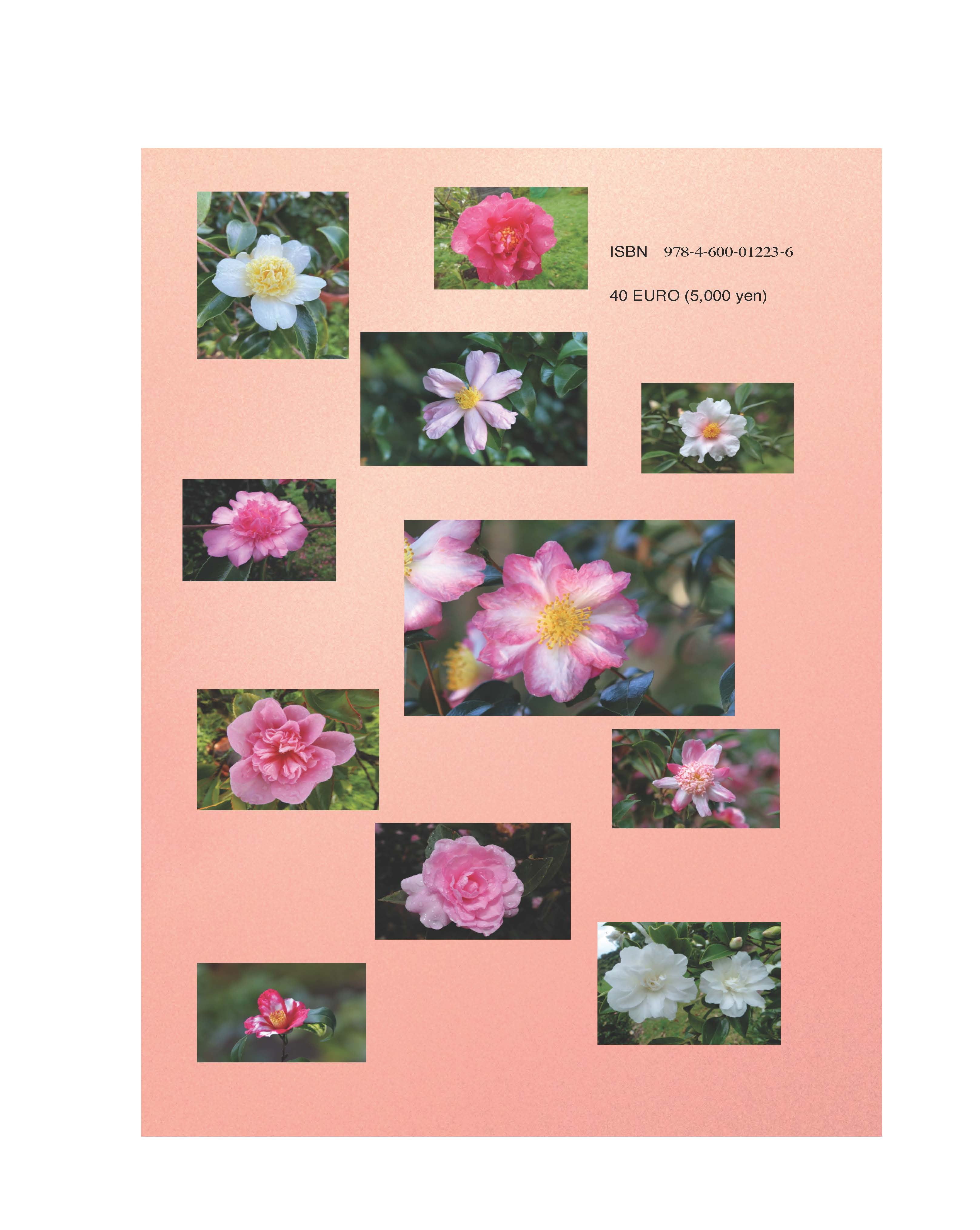 The Camellia Book: "Magnificent Sasanquas - an international ornamental plant"