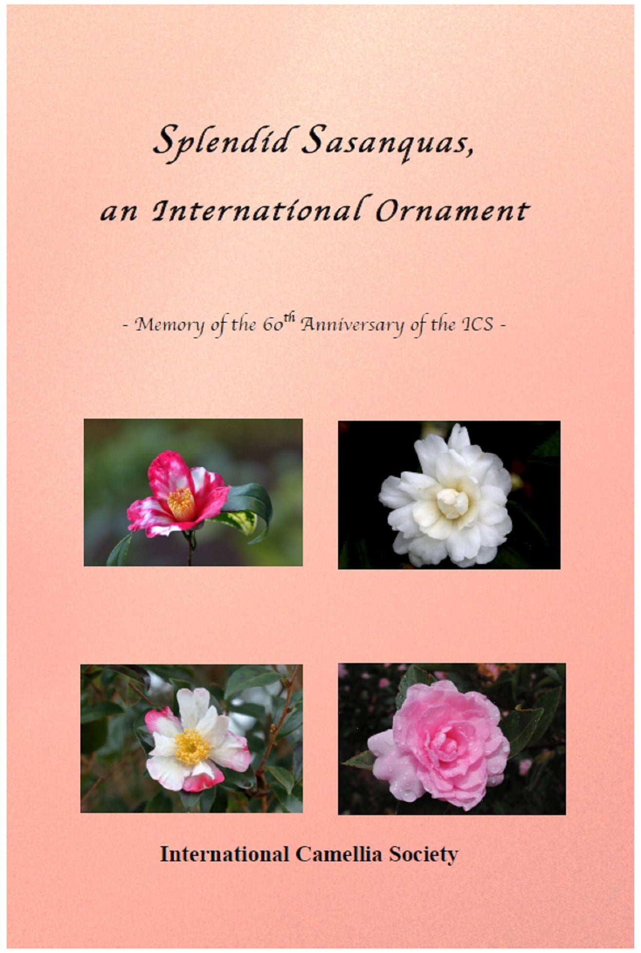 The Camellia Book: "Magnificent Sasanquas - an international ornamental plant"