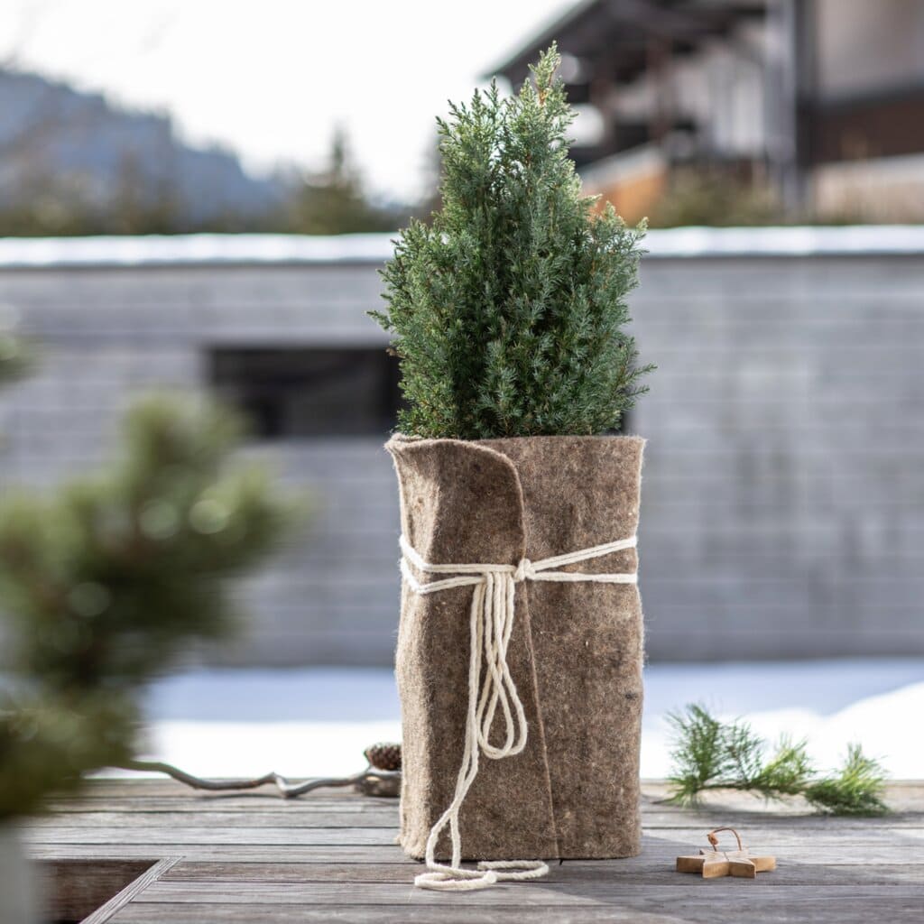 Winterschutz-Set: Schafwoll-Filzmatte mit Juteschnur